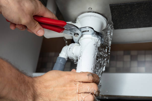 Best Carpet water damage restoration  in Terry, MS