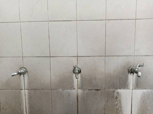 Best Sewage cleanup and water damage restoration  in Terry, MS
